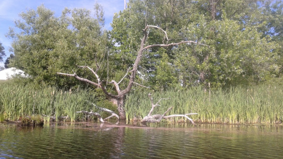 Suncook River