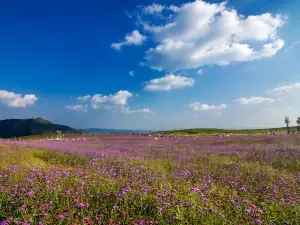 Fangmaping Alpine Grassland