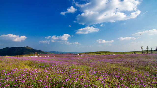 Fangmaping Alpine Grassland