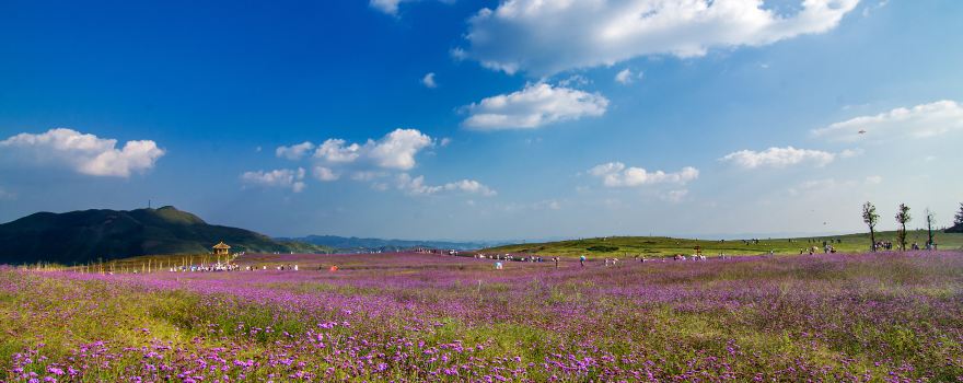 Fangmaping Alpine Grassland