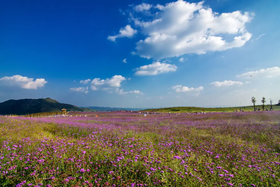 Fangmaping Alpine Grassland