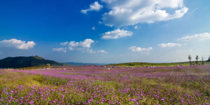 放馬坪高山草原景區