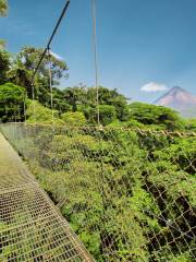 Puentes Colgantes Arenal, Mistico Park