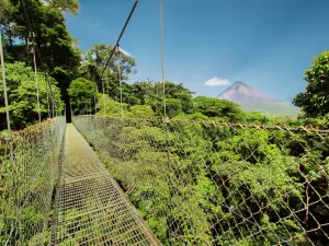 Puentes Colgantes Arenal, Mistico Park