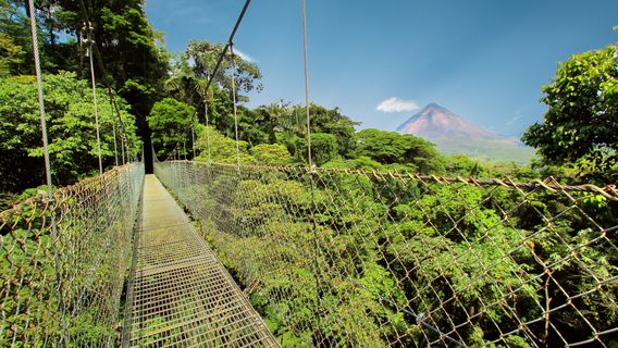 Mistico Park Arenal Hanging Bridges