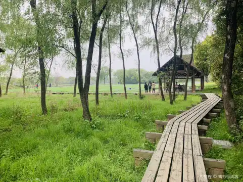 鄰近蝦龍灘生態保護區的酒店