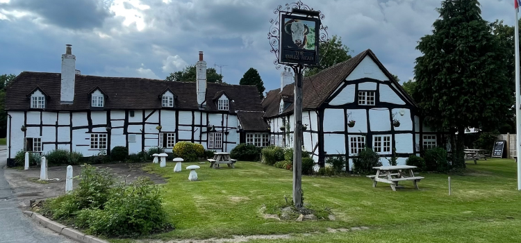 The Bull's Head