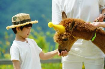 홍천군의 인기 추천 관광명소