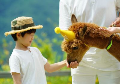 Hongcheon-gun