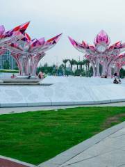 Taojiang Wetland Park