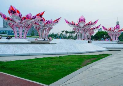 Taojiang Wetland Park