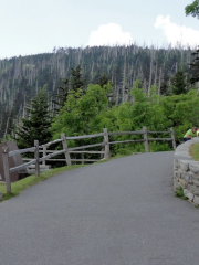 Clingmans Dome Trailhead