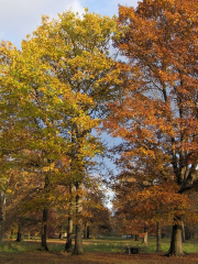 Parc naturel de Stupinigi