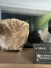 Cuihuashan Geological Museum