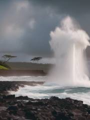 Spouting Horn Park