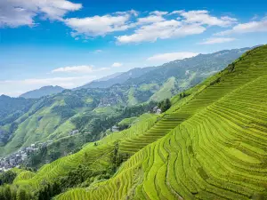 Jinkeng Dazhai Hongyao Terraces