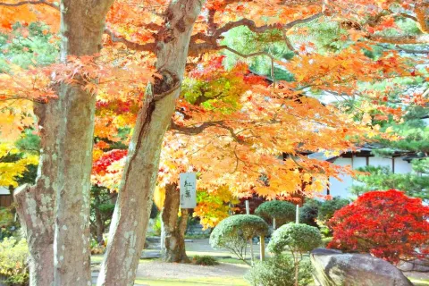 Kyoto Botanical Gardens