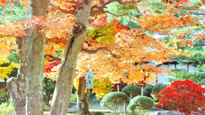 1_京都府立植物園