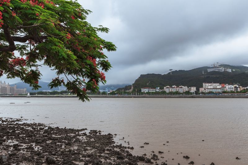 Rua Cinco de Outubro