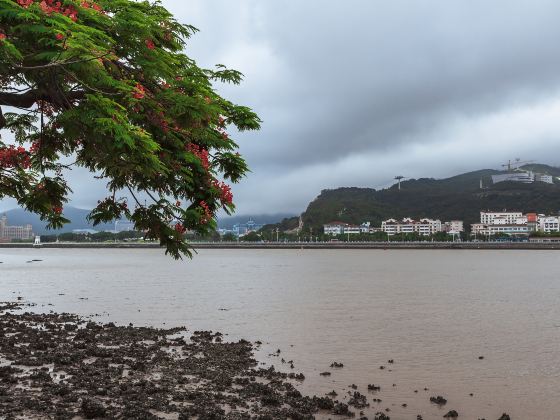 Rua Cinco de Outubro
