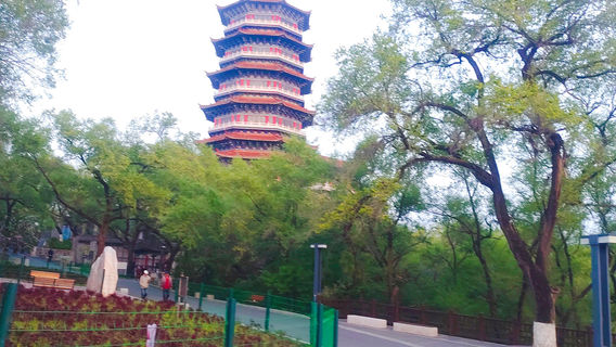 Liaoyuan Longshou Mountain