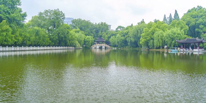 Lotus Village
