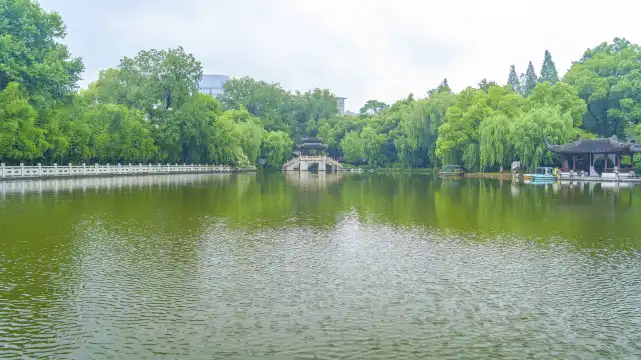 Hotels near Lotus Village