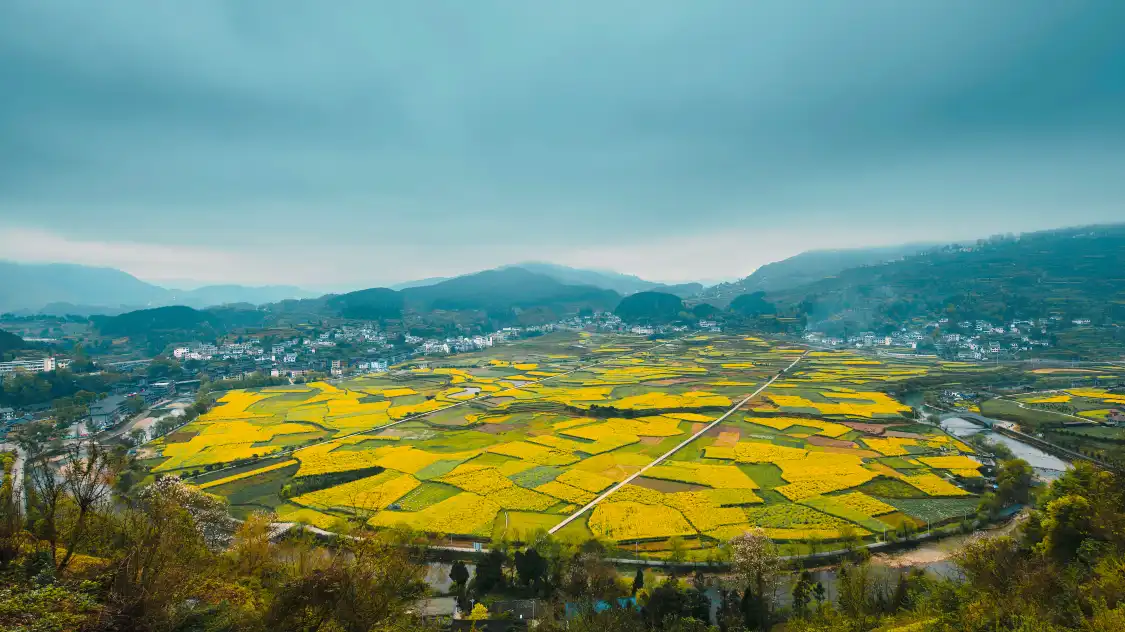 Hotels near Qinglongshili Gallery