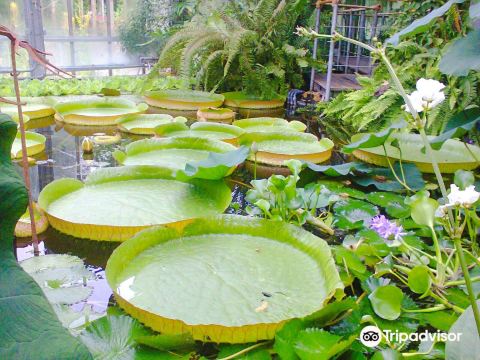 Botanical Garden