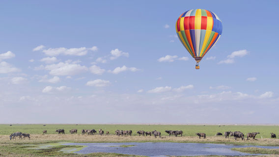 Hot Air Safaris