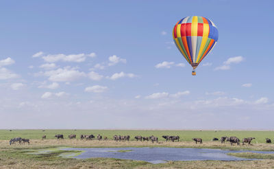 Hot Air Safaris