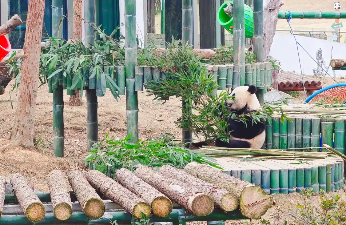 악양 중화 자이언트 판다 공원 주변 호텔