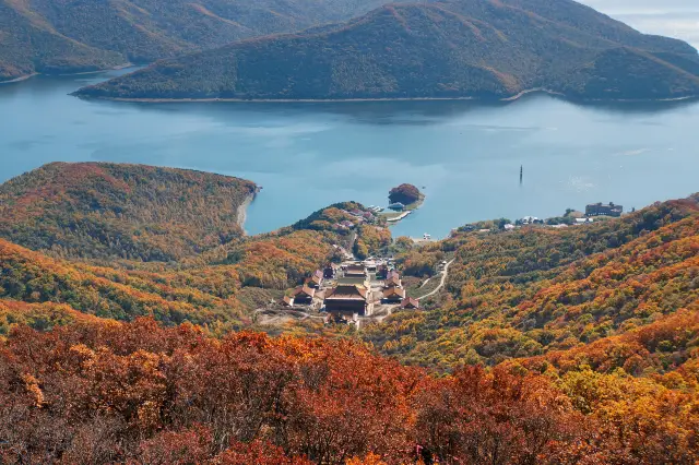 Fall Foliage Sightseeing in Jilin