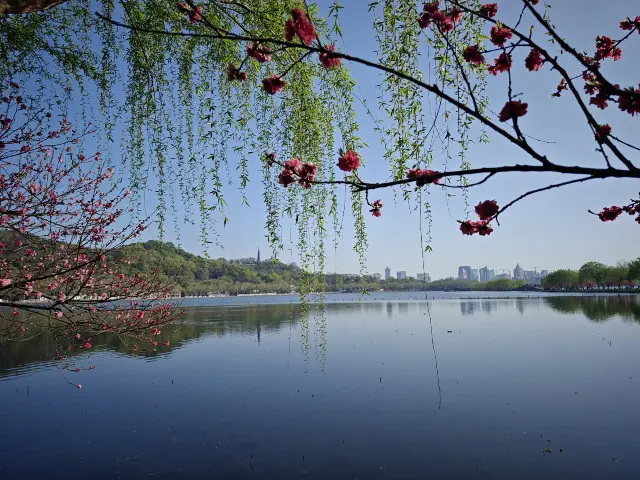 Peach Blossom Viewing in Hangzhou