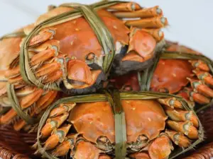 Top 15 Local Restaurants in Yangcheng Lake
