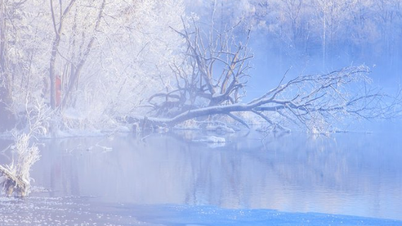 cha gan hu dong bu jie