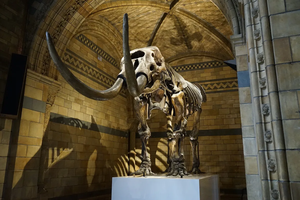 4_Natural History Museum