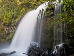 Little Mashel River Waterfalls