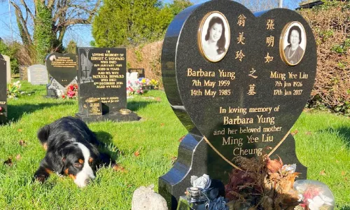 Barbara Yung‘s Cemetery