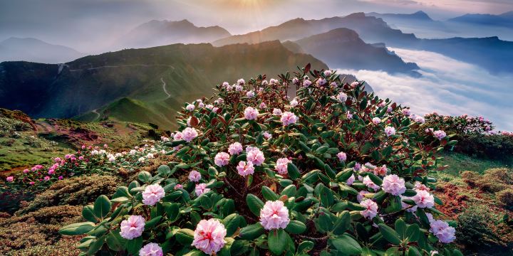 Niubei Mountain
