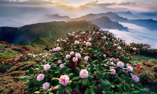 牛背山