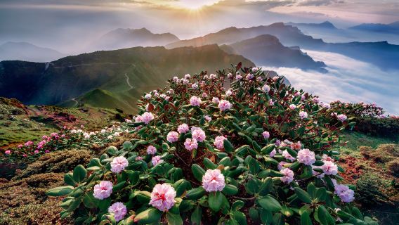 Niubei Mountain