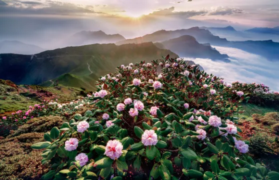 牛背山自駕領航票大小同價(需持有C1或以上駕駛執照)