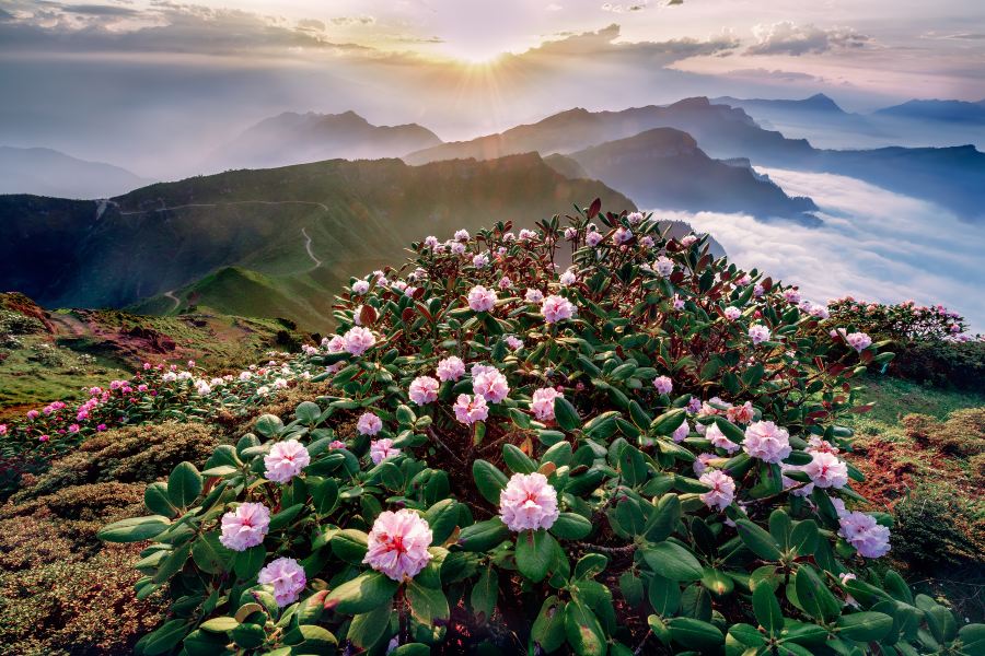 牛背山