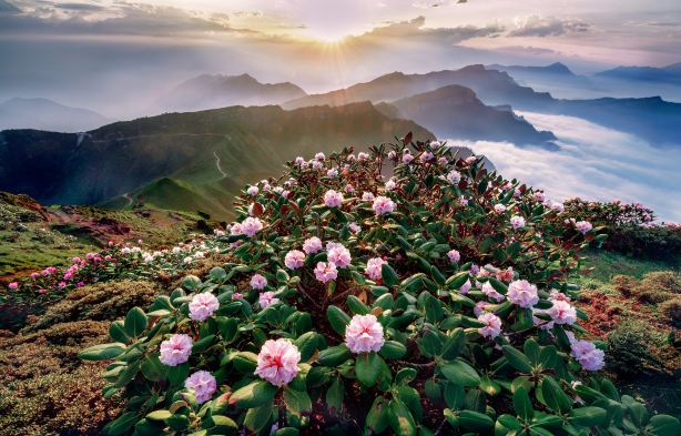 우배산(뉴베이산)