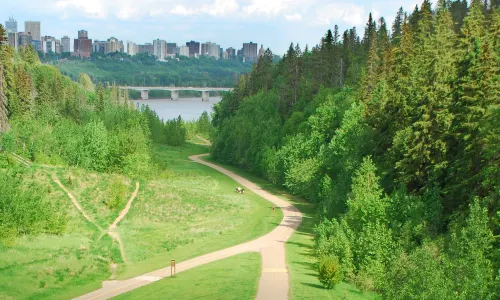Edmonton River Valley