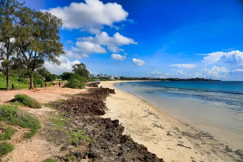 Coco Beach