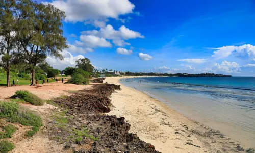 Coco Beach