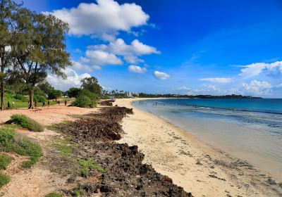 Coco Beach