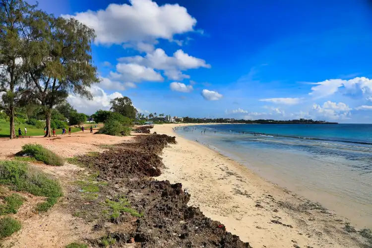 Các khách sạn gần Palm Beach